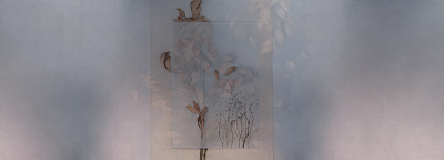 Фотообои EVIGILATIO 1, FLORA, Factura Фотообои EVIGILATIO 1, FLORA, Factura