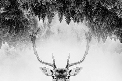 Фотообои Grayscale 22, GRAYSCALE, Wall street Фотообои Grayscale 22, GRAYSCALE, Wall street