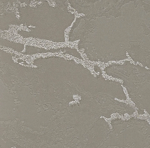 Серые обои для стен Bernardo Bartalucci Gaga  84282-8