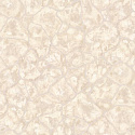 PL31163-21