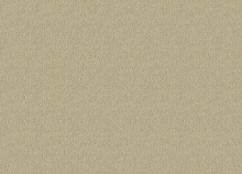 Обои для гостиной Rasch Florentine Incanto 820577