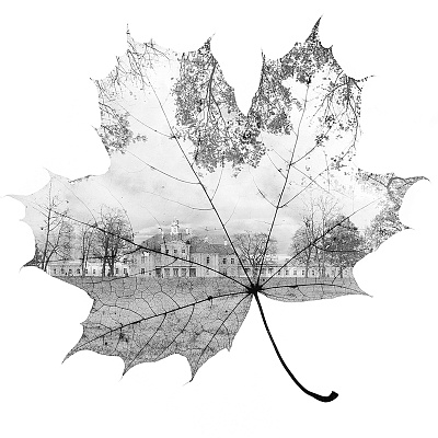 Фотообои Grayscale 2, ОТТЕНКИ СЕРОГО / GRAYSCALE, Wall street